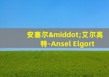 安塞尔·艾尔高特-Ansel Elgort